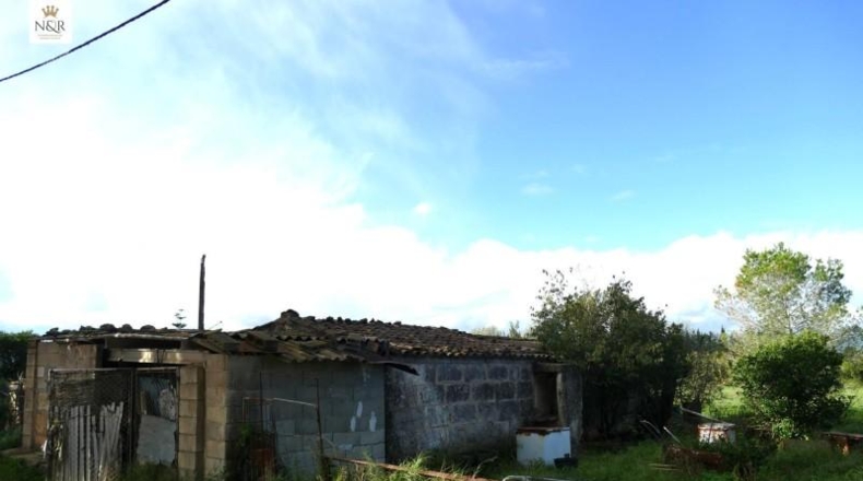 Islas Baleares - Llubí - 7500m2