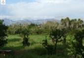 Chalet independiente con terreno en venta en la España, Llubí, ref: TR199003 foto