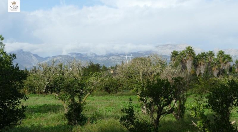 Islas Baleares - Llubí - 7500m2