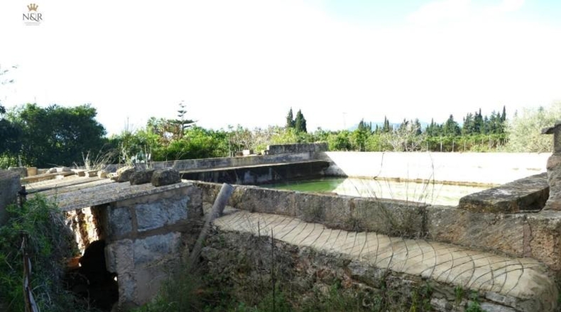 Islas Baleares - Llubí - 7500m2