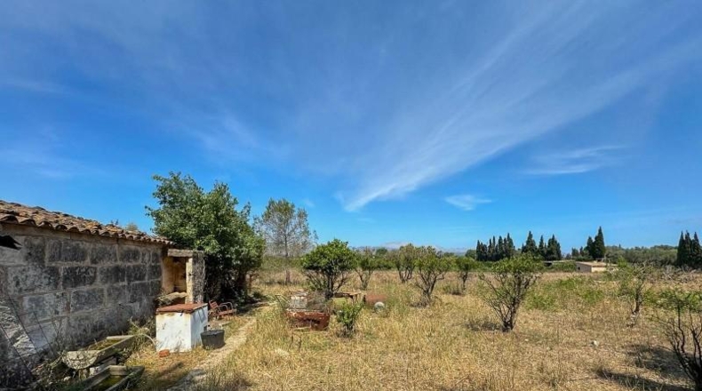 Illes Balears - Llubí - 257m2