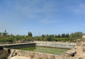 Chalet independiente con terreno en venta en la España, Llubí, ref: TR251277 foto