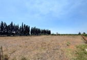 Chalet independiente con terreno en venta en la España, Llubí, ref: TR251277 foto