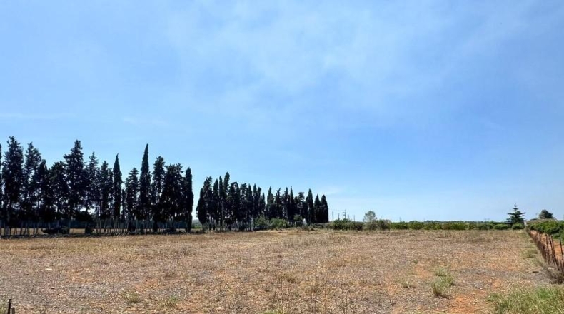 Illes Balears - Llubí - 257m2