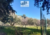 Chalet independiente con terreno en venta en la España, Jaén, ref: TR401122 foto