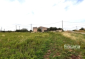 Country house with land for sale on España, Manacor, ref: TR402527 photo