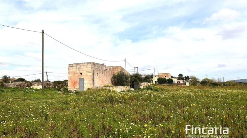Islas Baleares - Манакор - 11423m2