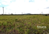 Country house with land for sale on España, Manacor, ref: TR402527 photo