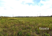 Country house with land for sale on España, Manacor, ref: TR402527 photo