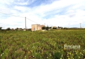Country house with land for sale on España, Manacor, ref: TR402527 photo