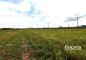 Country house with land for sale on España, Manacor, ref: TR402527 photo