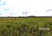 Country house with land for sale on España, Manacor, ref: TR402527 photo