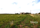Country house with land for sale on España, Manacor, ref: TR402527 photo