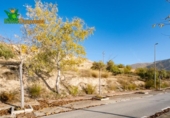 Parcela urbanizable en venta en la España, Alfacar, ref: TR367954 foto