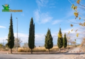 Parcela urbanizable en venta en la España, Alfacar, ref: TR367954 foto