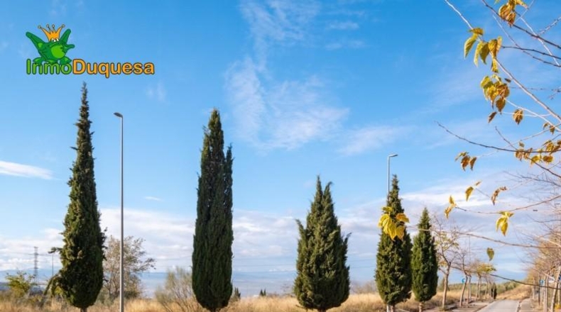 Granada - Alfacar - 1994m2