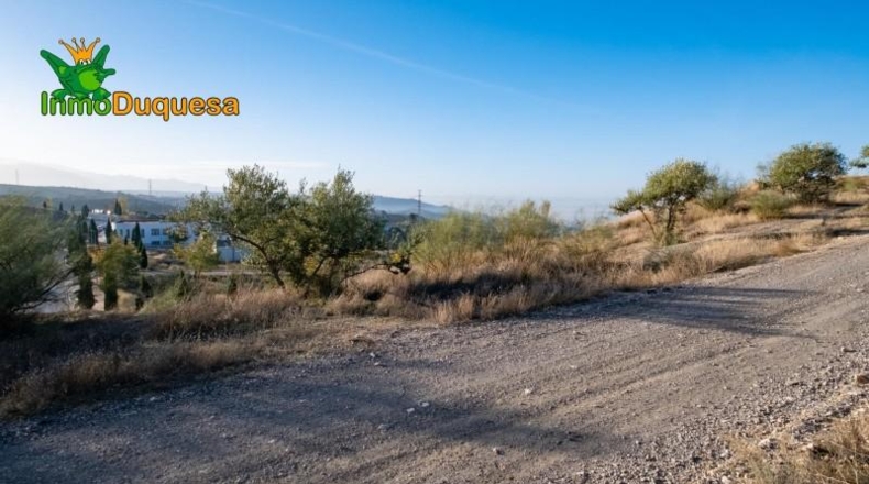 Granada - Alfacar - 1994m2