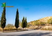 Parcela urbanizable en venta en la España, Alfacar, ref: TR367954 foto