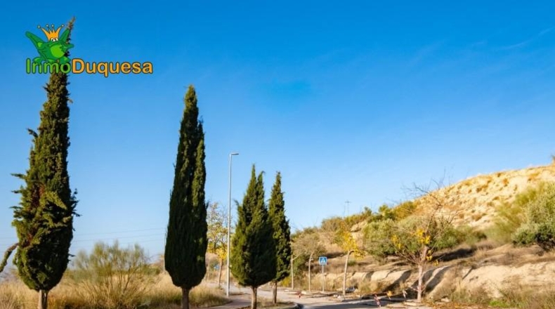 Granada - Alfacar - 1994m2