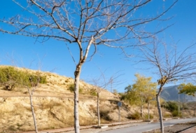Foto 17