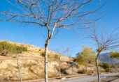 Parcela urbanizable en venta en la España, Alfacar, ref: TR247276 foto