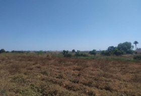 Los Montesinos 11930&nbsp;m² 