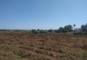 Country house with land for sale on España, Los Montesinos, ref: TR397924 photo