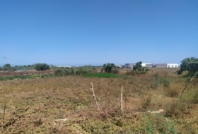 Los Montesinos 11930&nbsp;m² 