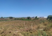 Country house with land for sale on España, Los Montesinos, ref: TR397924 photo