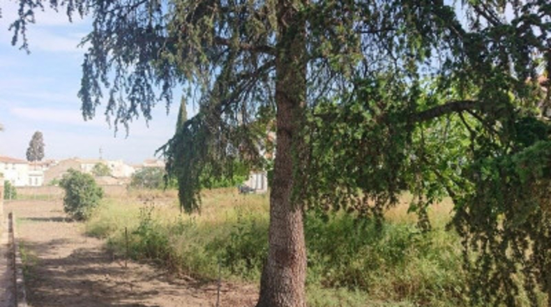 Granada - Cájar - 650m2