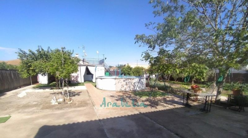 Córdoba - Córdoba - 1500m2