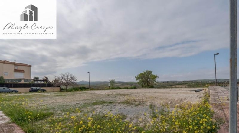 Granada - Cúllar Vega - 985m2