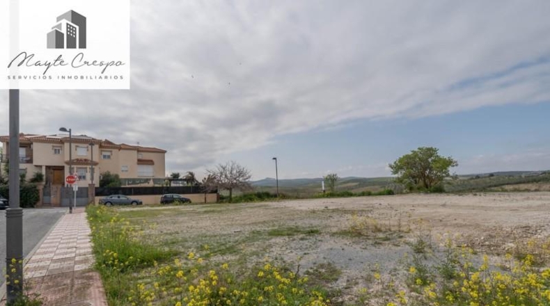 Granada - Cúllar Vega - 985m2