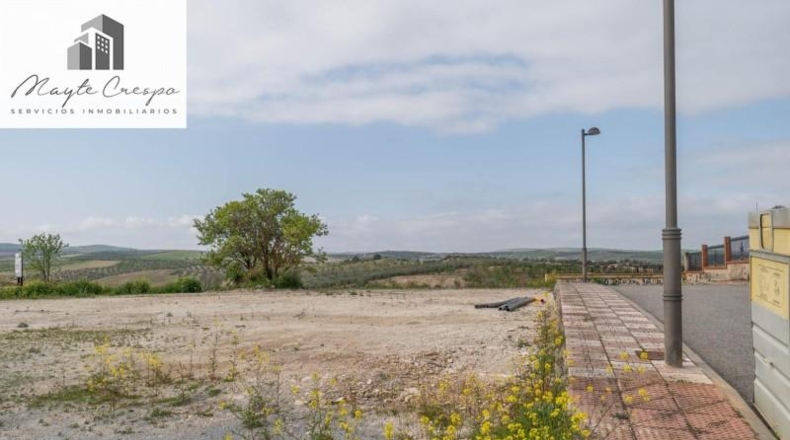 Granada - Cúllar Vega - 985m2