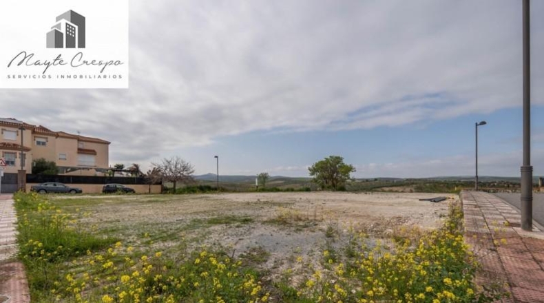 Granada - Cúllar Vega - 985m2