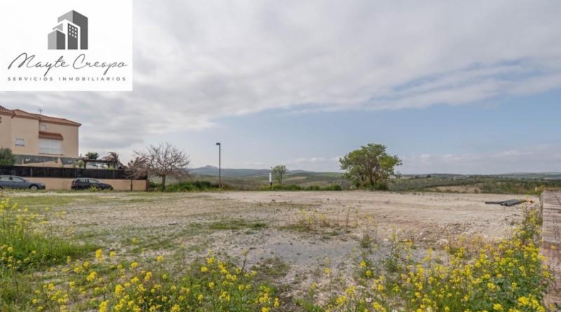 Granada - Cúllar Vega - 985m2