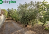 Casa de camp amb terreny en venda a la España, Monachil, ref.: TR398936 foto