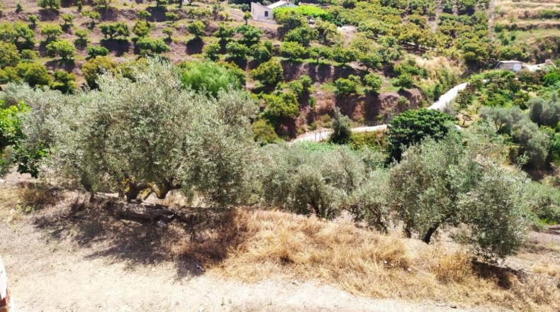 Málaga - Frigiliana - 3000m2