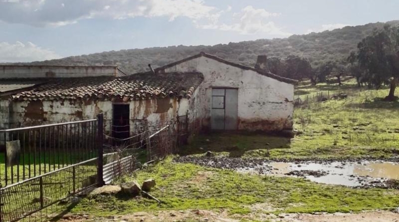 Córdoba - Fuente Obejuna - 257600m2