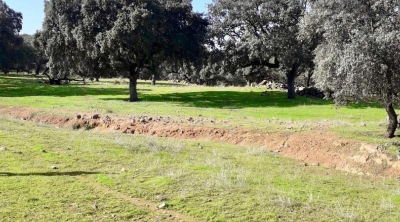 Córdoba - Fuente Obejuna - 257600m2