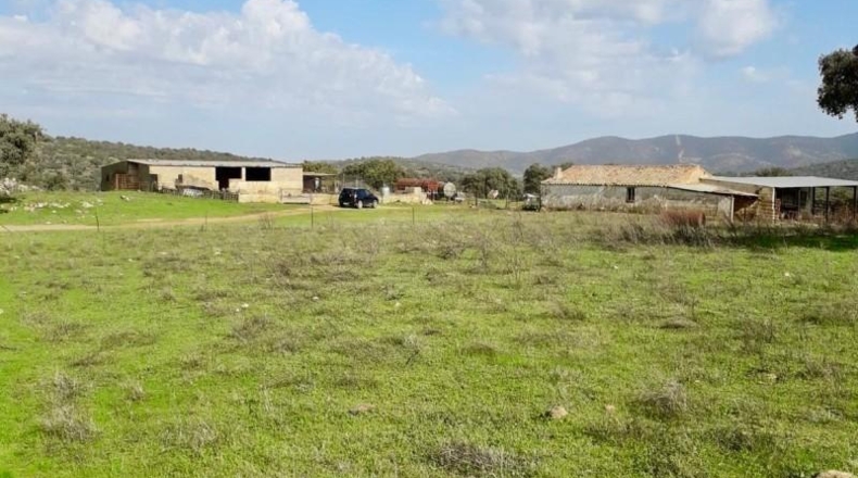 Córdoba - Fuente Obejuna - 257600m2