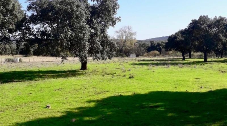 Córdoba - Fuente Obejuna - 257600m2