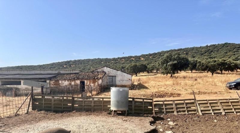 Córdoba - Fuente Obejuna - 257600m2