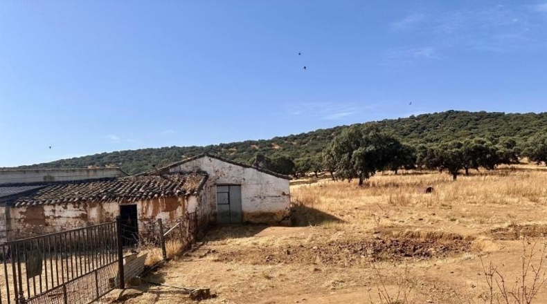 Córdoba - Fuente Obejuna - 257600m2