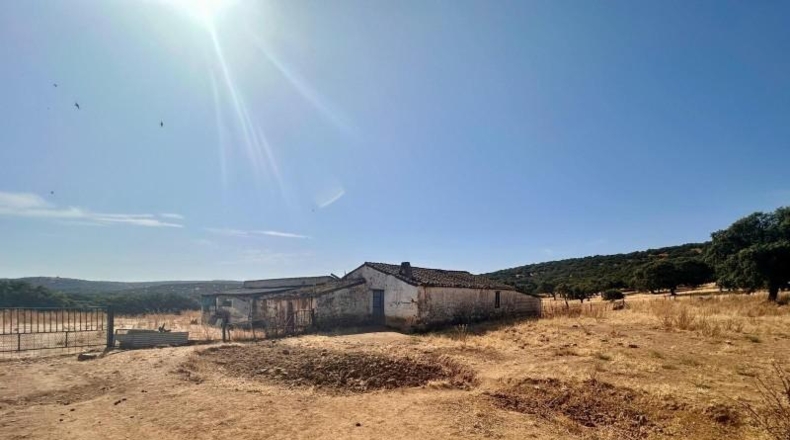Córdoba - Fuente Obejuna - 257600m2