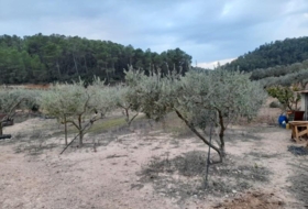 Foto 10