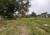 Rural estate for sale on España, Parada de Amoeiro, ref: TR298065 photo