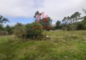 Rural estate for sale on España, Parada de Amoeiro, ref: TR298065 photo