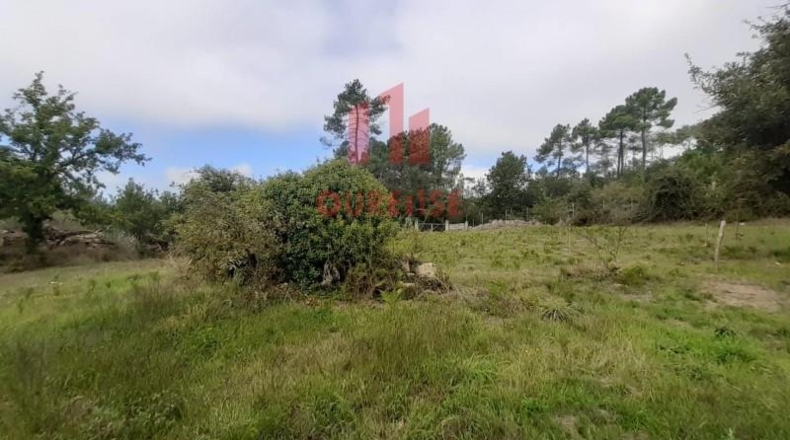 Orense - Amoeiro - 4578m2