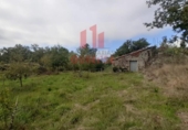 Rural estate for sale on España, Parada de Amoeiro, ref: TR298065 photo